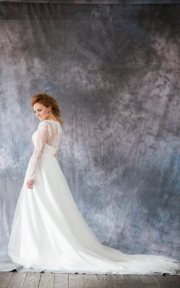 Organza Long Sleeve A-Line Bridal Gown With Illusion Back